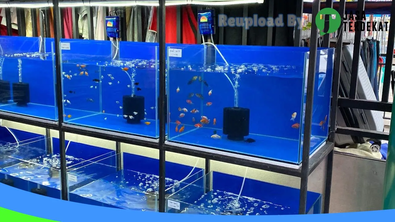 Gambar GOLDEN PETSHOP & CARE di Batam, Kepulauan Riau ke 3