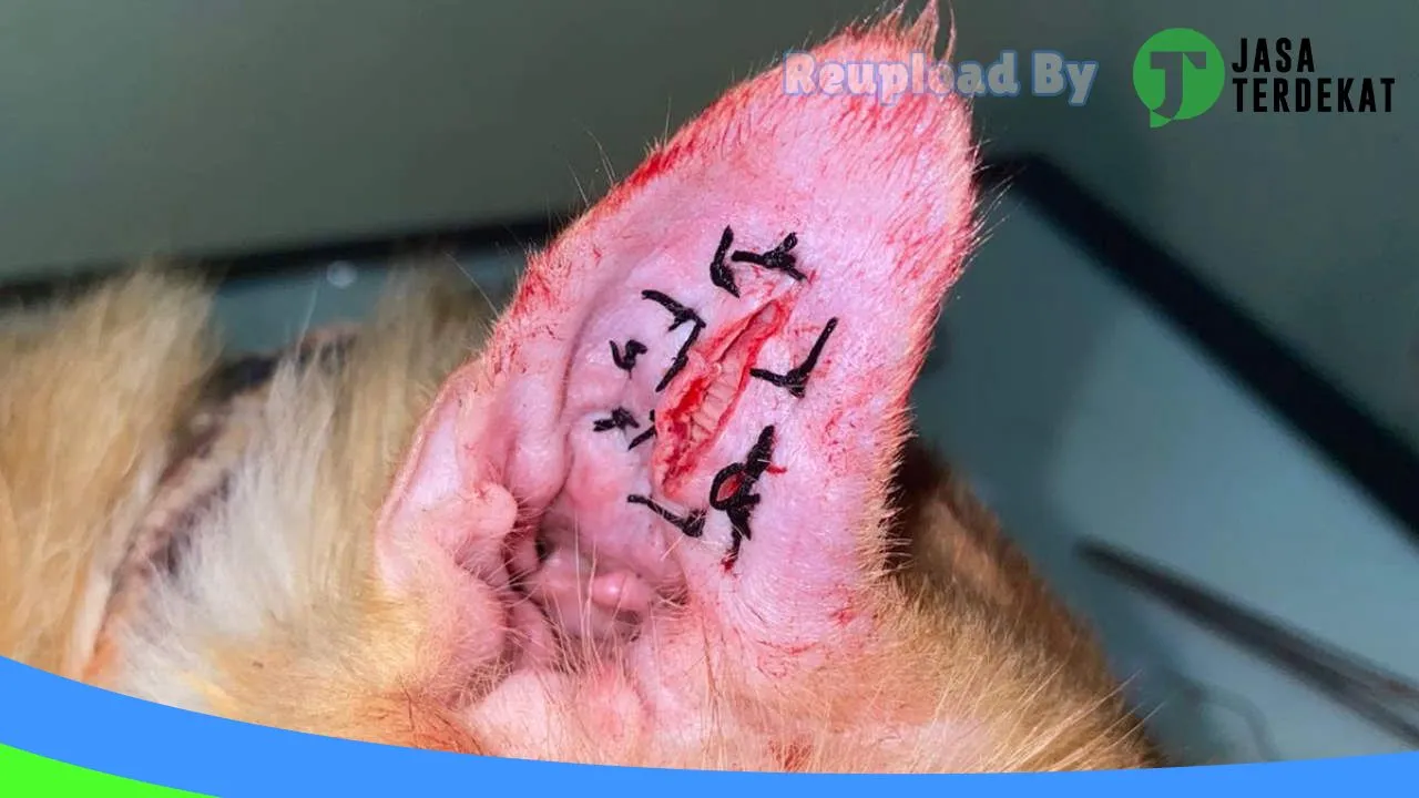 Gambar drh.Trino Yuniarta di Sumenep, Jawa Timur ke 2