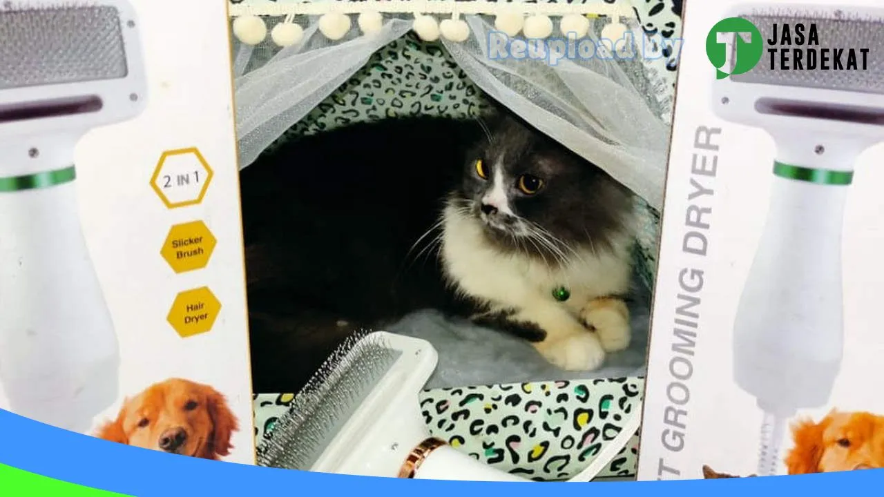 Gambar MA’AZZA PETSHOP di Supiori, Papua ke 3