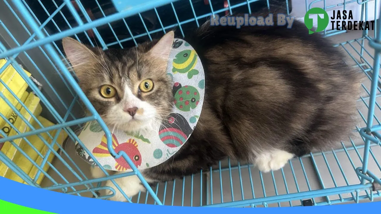 Gambar Eyi Petshop Raha di Muna, Sulawesi Tenggara ke 2