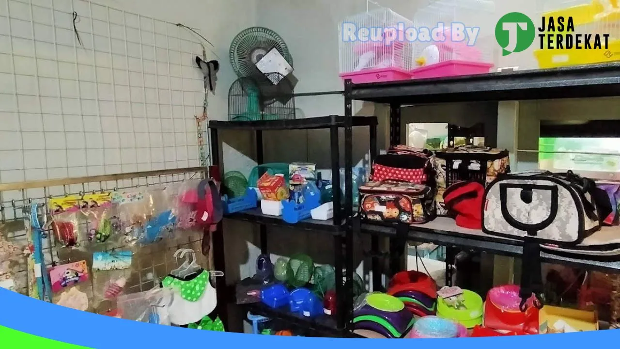 Gambar Marise Pet Shop & Sugar glider di Kota Bandung, Jawa Barat ke 4