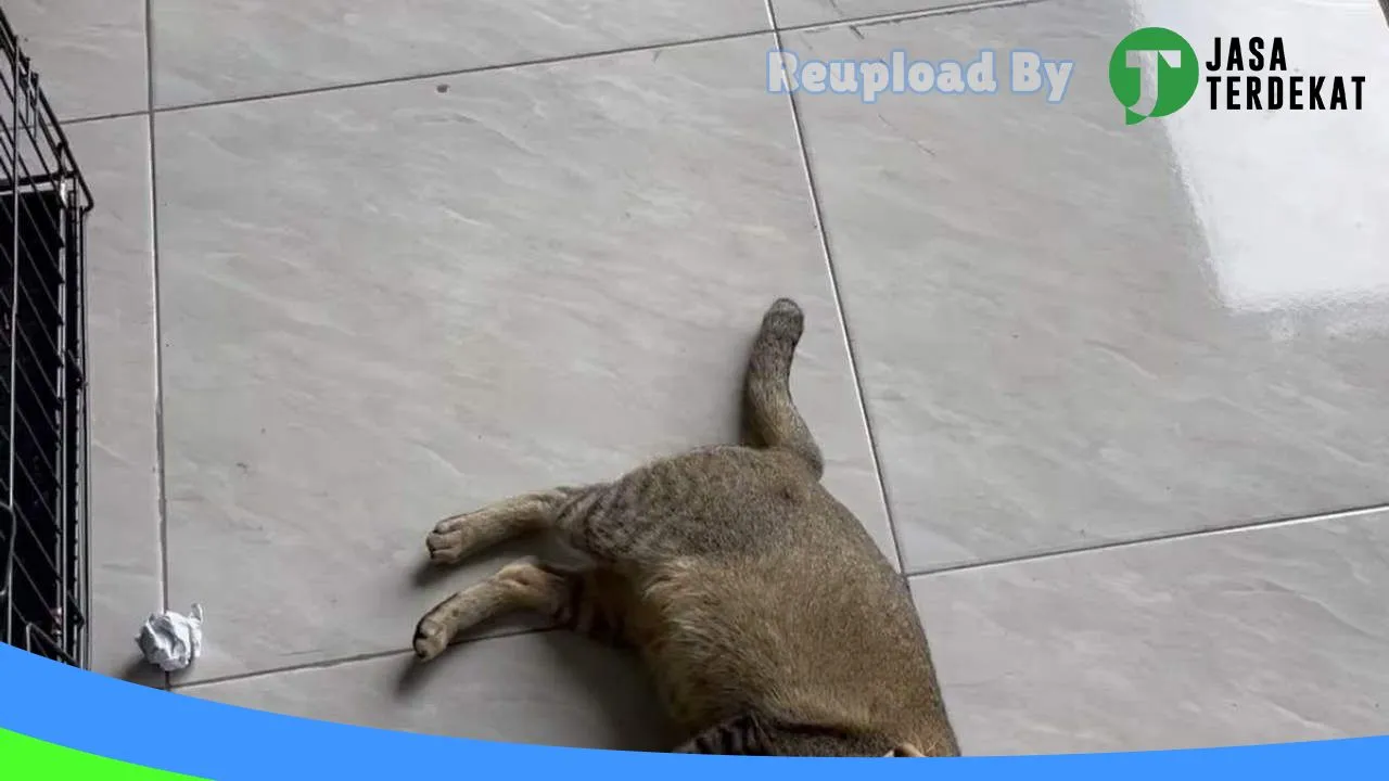 Gambar Yunamora Petshop di Bener Meriah, Aceh ke 5