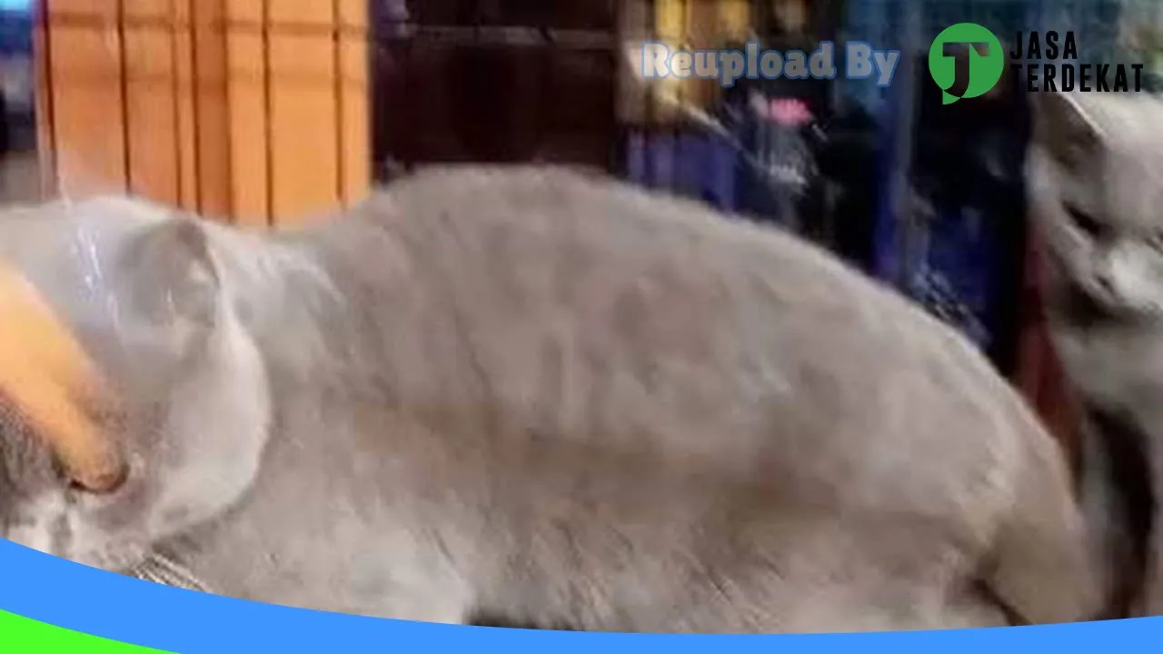 Gambar Ratu Cathouse Sukabumi di Sukabumi, Jawa Barat ke 1