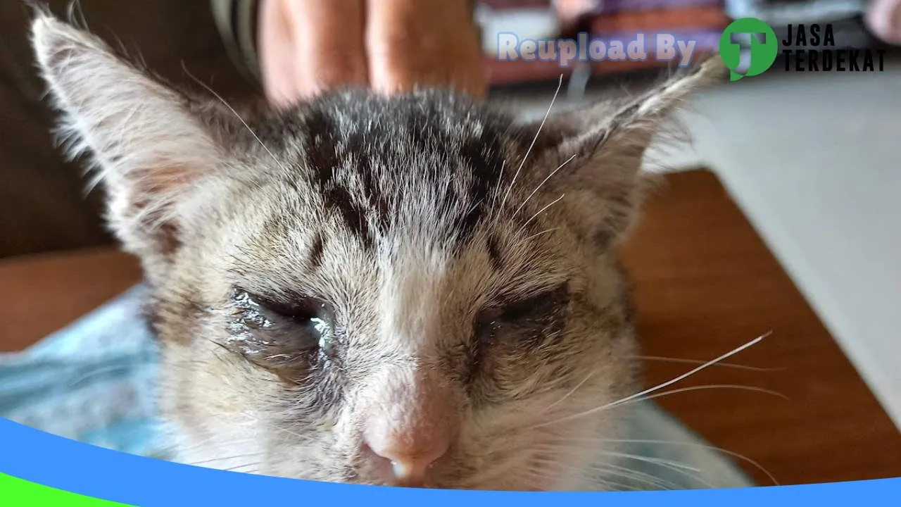 Gambar Luphhvet Care Petshop & Clinic di Tapanuli Selatan, Sumatera Utara ke 3