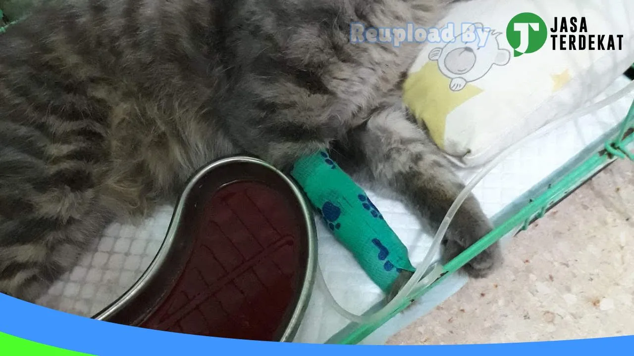 Gambar ABC Pet Shop & Pet Clinic di Klaten, Jawa Tengah ke 2