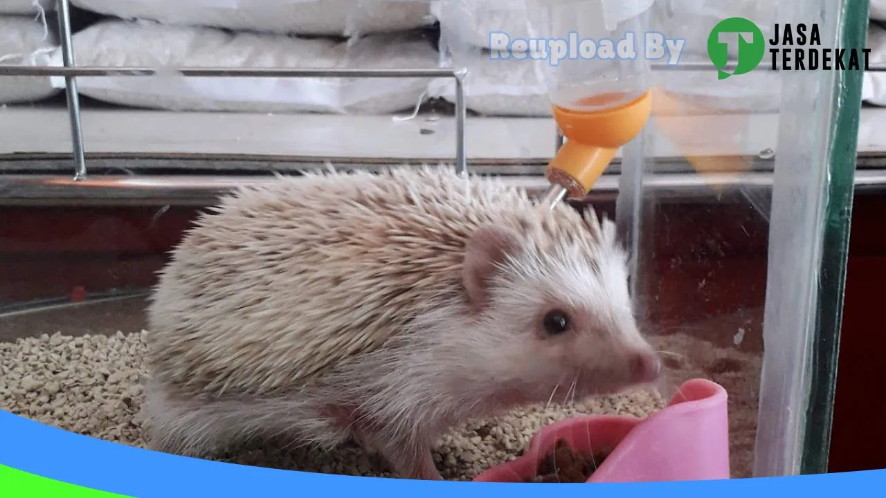 Gambar Hanny’s House Pet Shop & Grooming Karanganyar di Karanganyar, Jawa Tengah ke 3