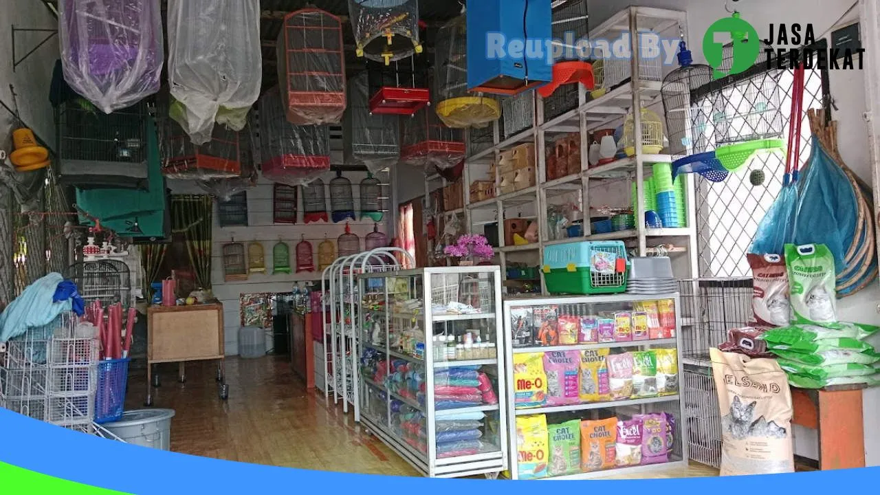 Gambar DMR Bird & Pet Shop di Aceh Barat, Aceh ke 2
