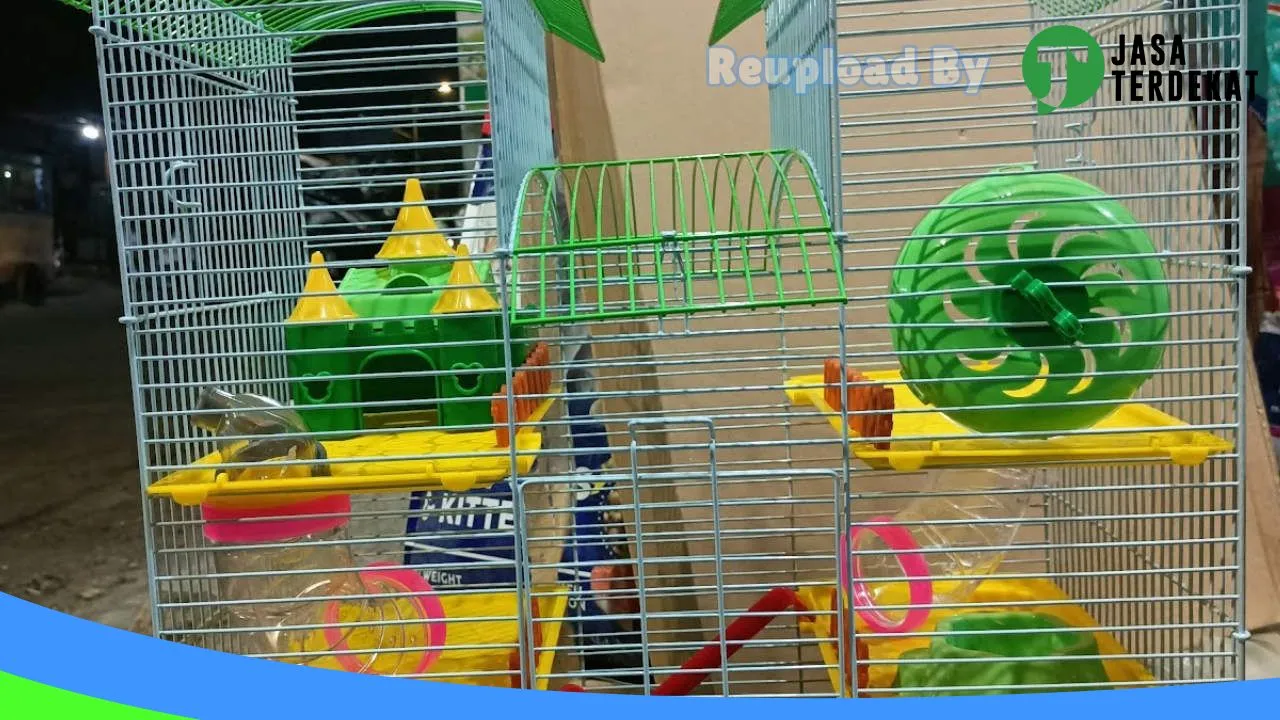 Gambar ANA PETSHOP ( Galeri Hamster Tasikmalaya 2 ) di Tasikmalaya, Jawa Barat ke 4