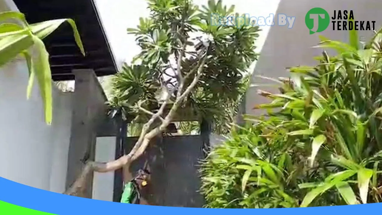 Gambar Pest Terminator Indonesia di Denpasar, Bali ke 1