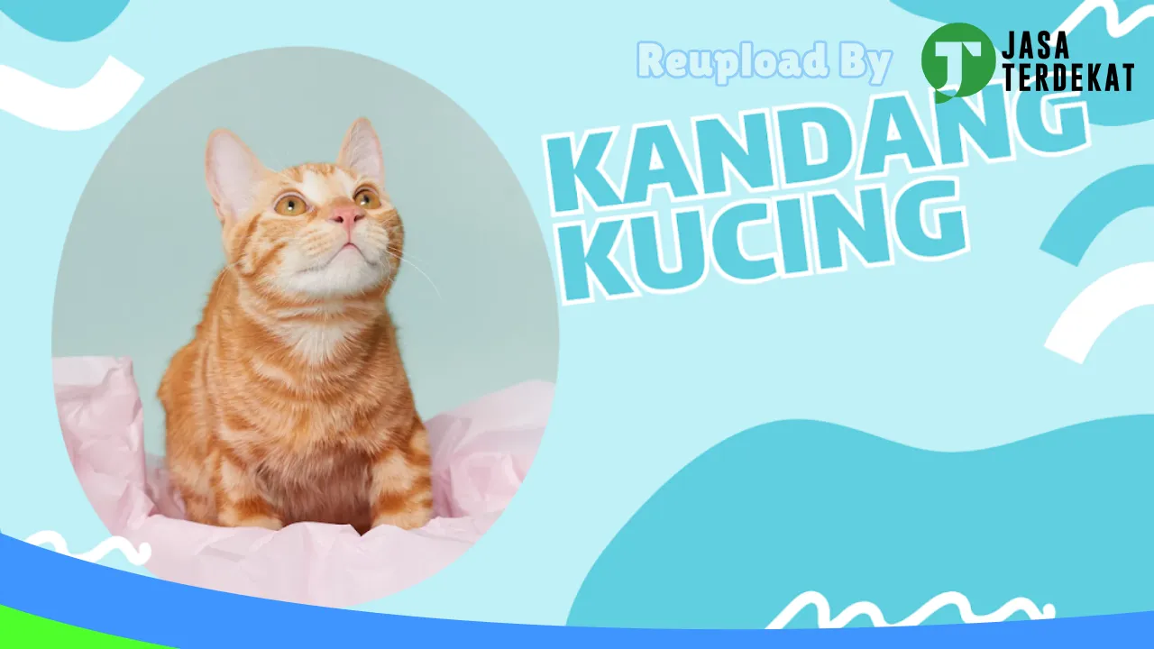 Gambar Kandang Kucing di Tanjungbalai, Sumatera Utara ke 3