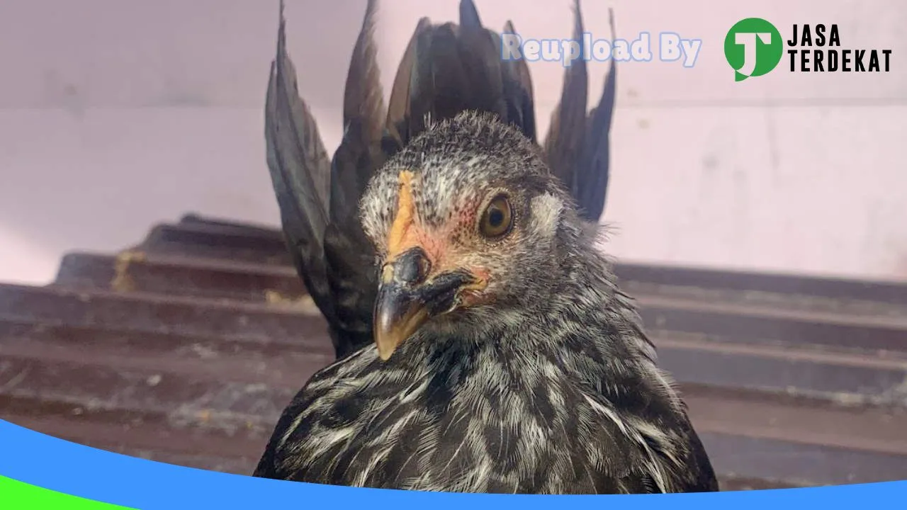 Gambar Mayza Farm di Tapin, Kalimantan Selatan ke 2