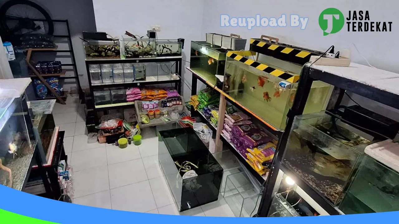 Gambar Betta Natural di Tojo Una-Una, Sulawesi Tengah ke 1