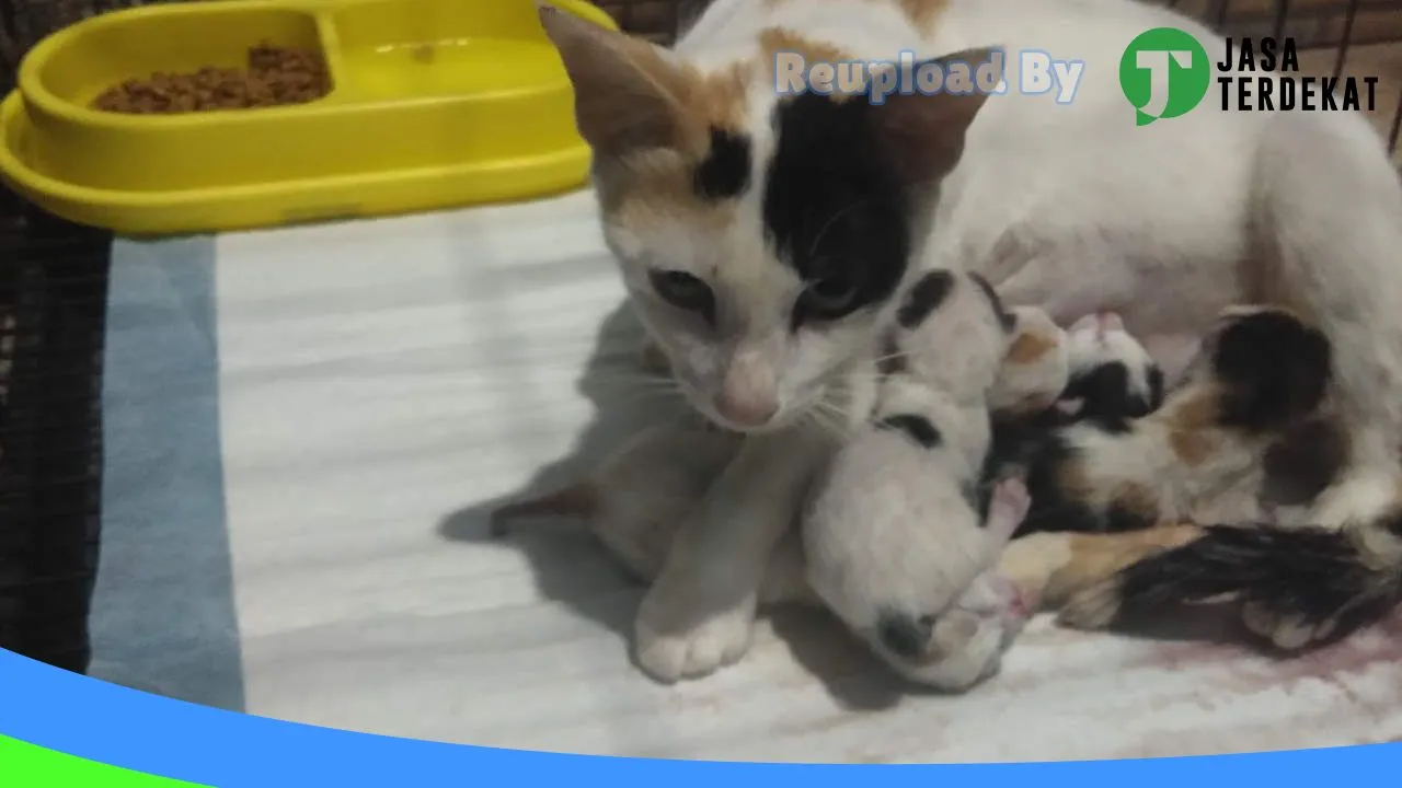 Gambar MD CLINIC&PETSHOP di Labuhanbatu Selatan, Sumatera Utara ke 2