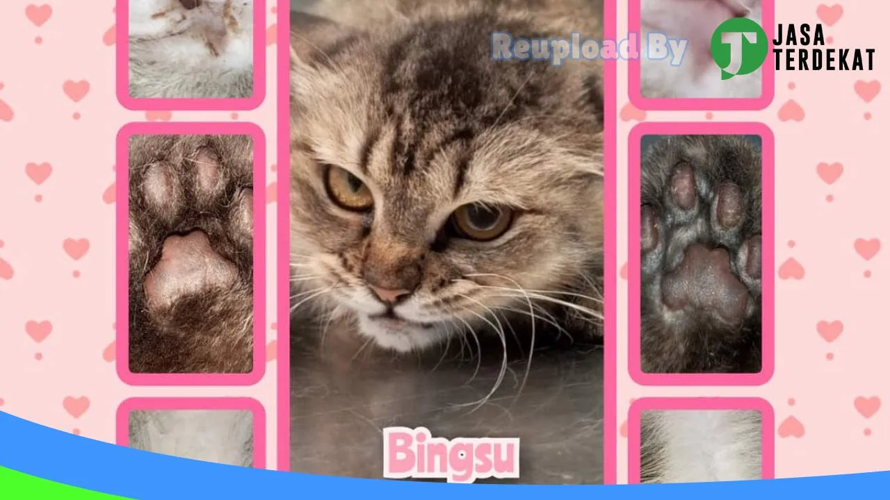 Gambar Deeva Petshop & Praktek Dokter Hewan di Jakarta Timur, DKI Jakarta ke 2