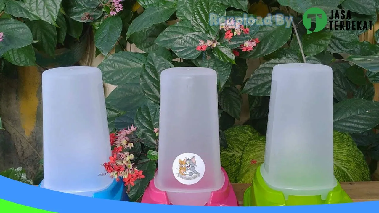 Gambar Mochy Petshop Betoambari di Buton, Sulawesi Tenggara ke 5