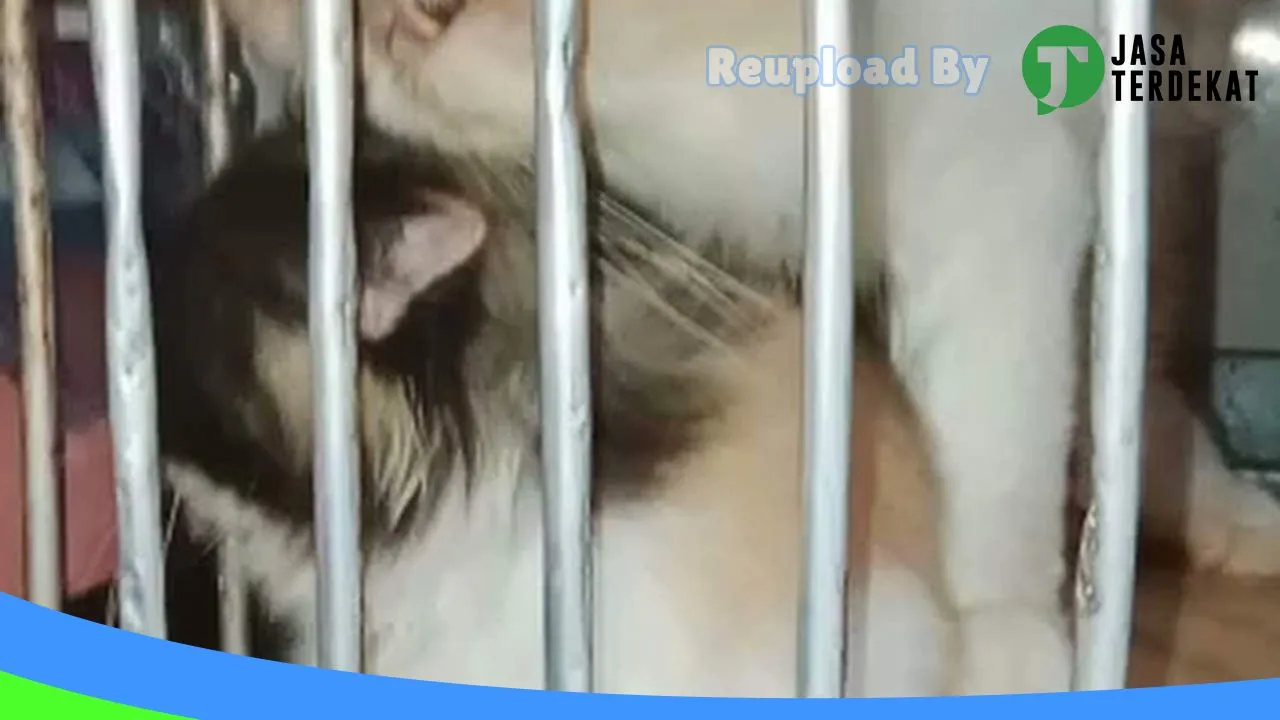 Gambar Zhaza PetShop Kotabaru di Muaro Jambi, Jambi ke 2