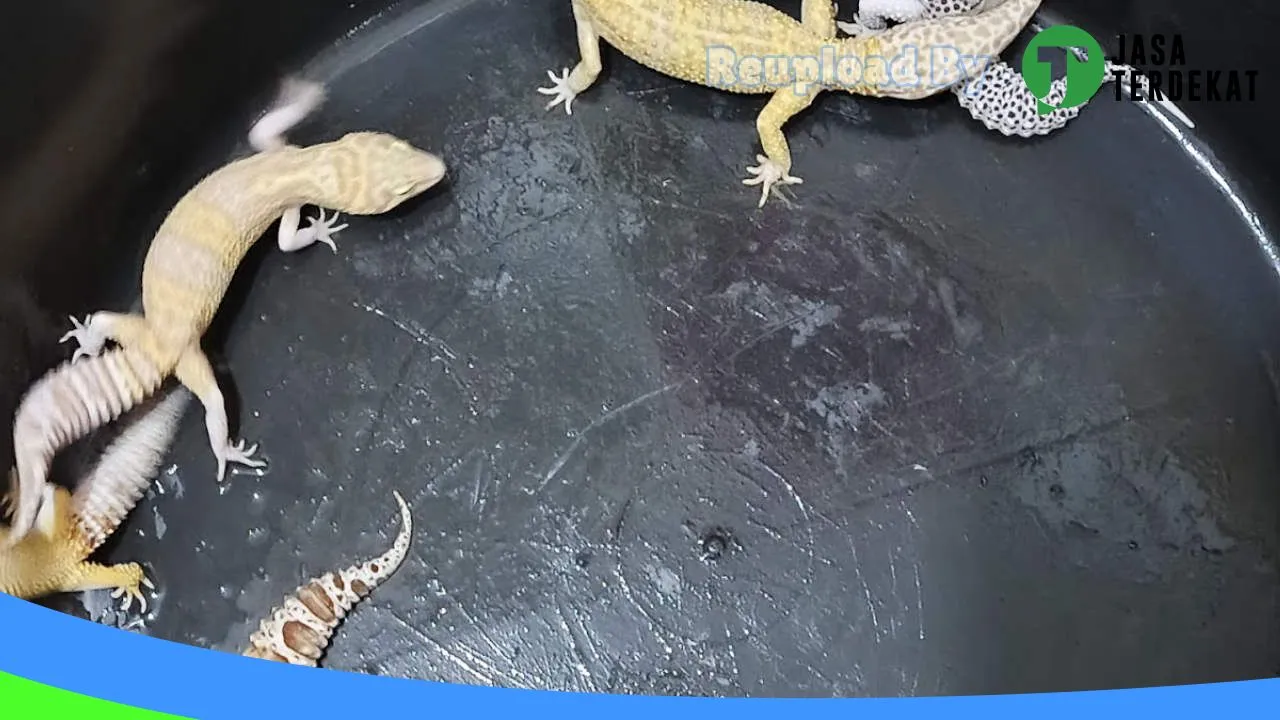 Gambar Lampung Exopets di Tulang Bawang, Lampung ke 1