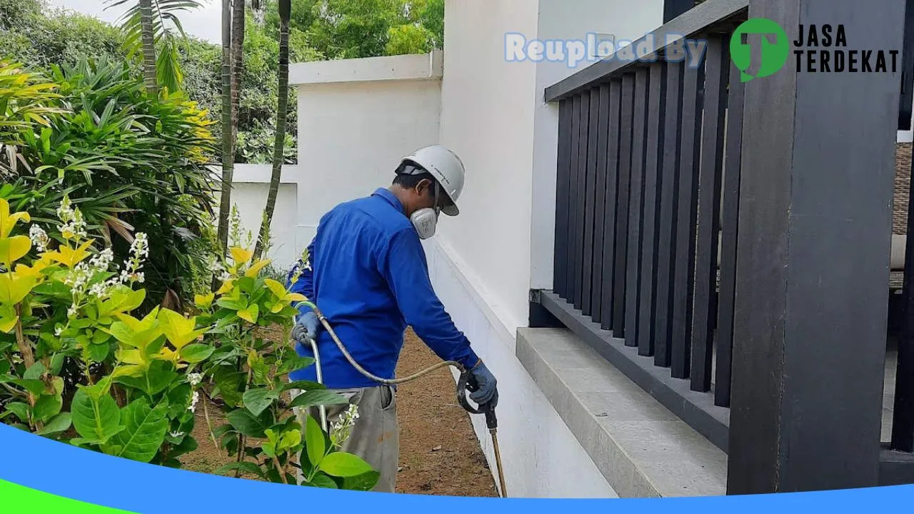 Gambar Bali Termite : Jasa Anti Rayap – Termite Control – Fogging di Bangli, Bali ke 5