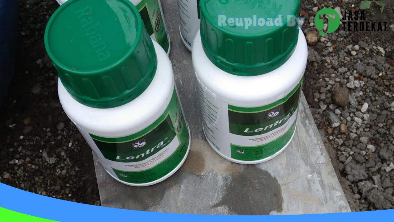 Gambar JASA ANTI RAYAP PASURUAN di Pasuruan, Jawa Timur ke 1