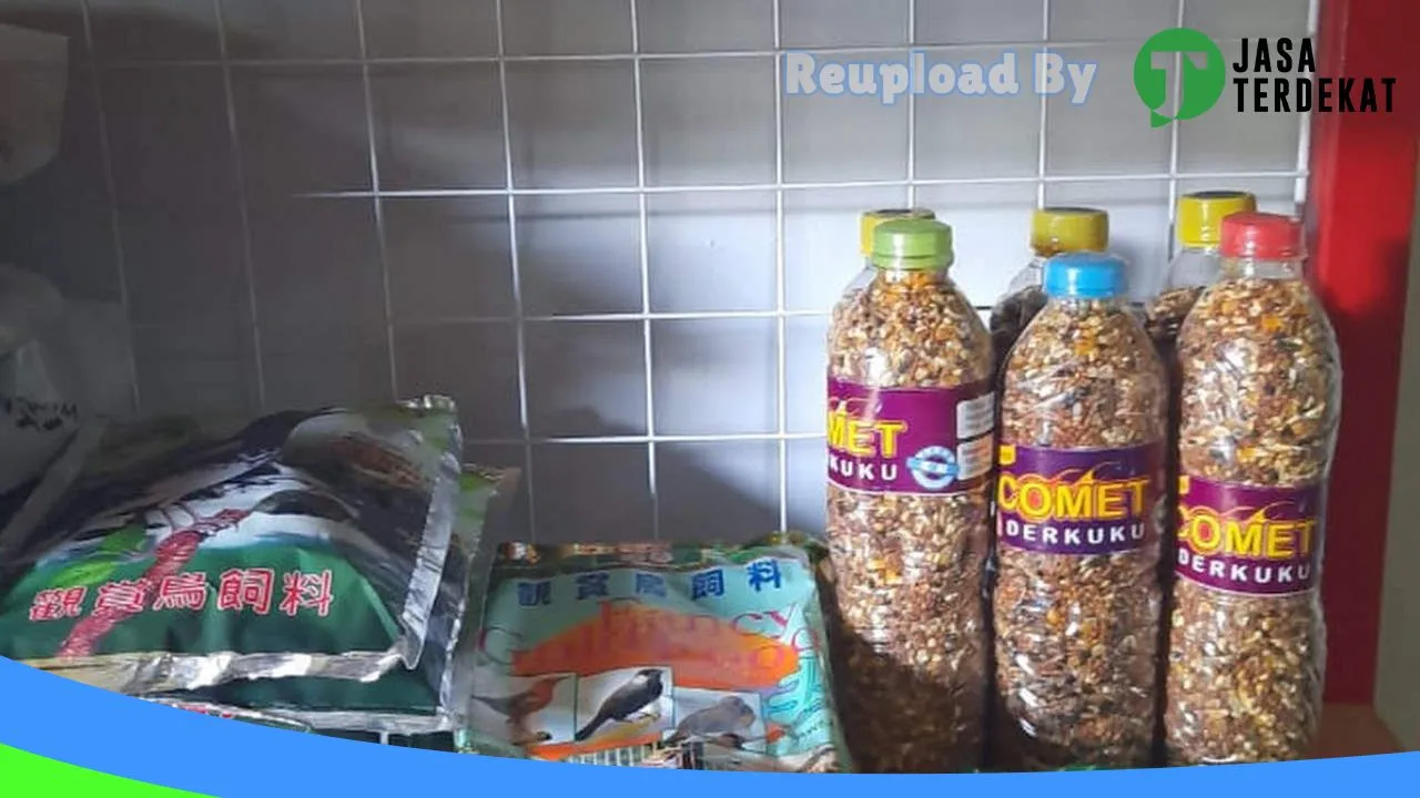 Gambar Connie Pet Shop & Grooming Madiun di Kota Madiun, Jawa Timur ke 1