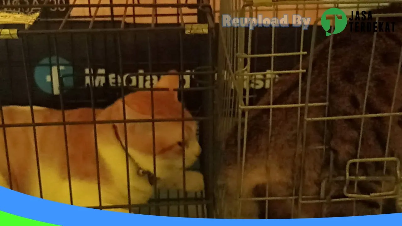 Gambar MEOLAND’S PETSHOP & GROOMING di Takalar, Sulawesi Selatan ke 3