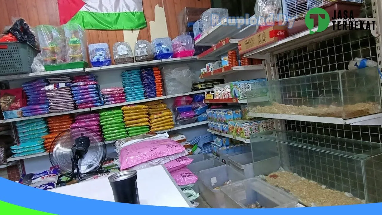 Gambar ANA PETSHOP ( Galeri Hamster Tasikmalaya 2 ) di Tasikmalaya, Jawa Barat ke 2