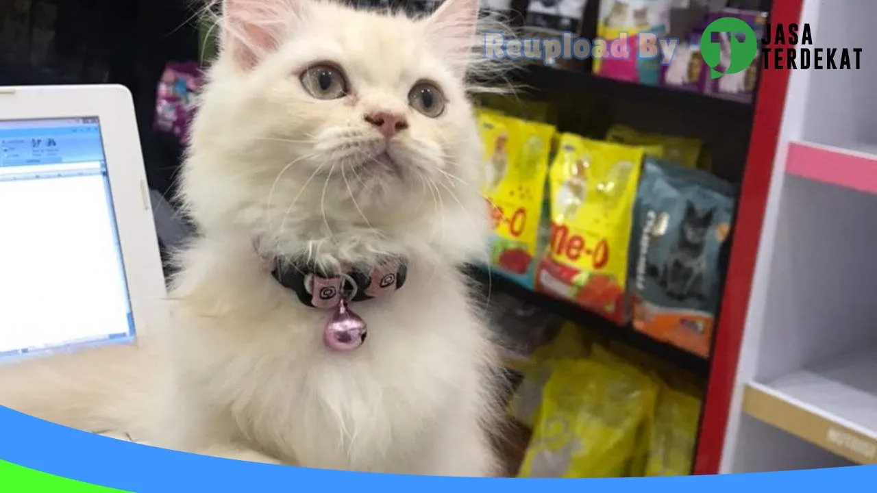 Gambar Sumber Jaya Petshop di Lombok Barat, Nusa Tenggara Barat ke 1