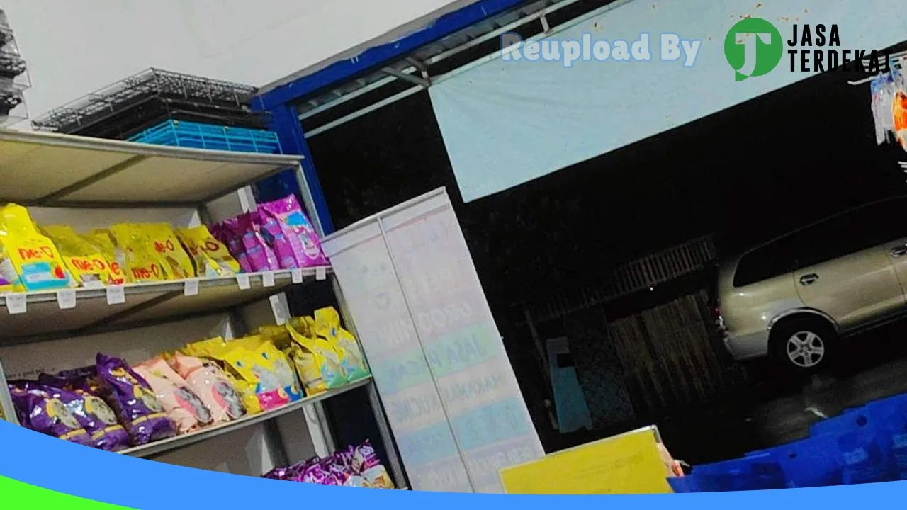 Gambar Kitty House Petshop di Lombok Barat, Nusa Tenggara Barat ke 1