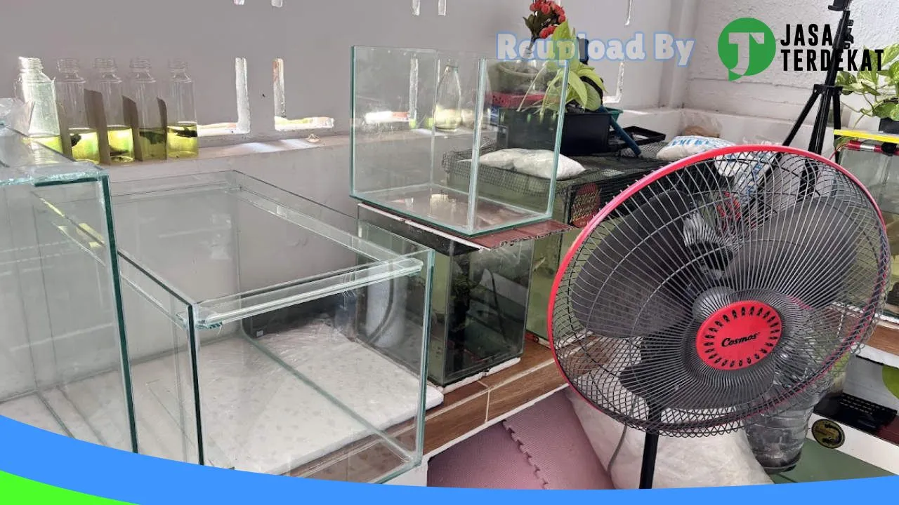 Gambar RUMAH IKAN HIAS PRABUMULIH di Prabumulih, Sumatera Selatan ke 2