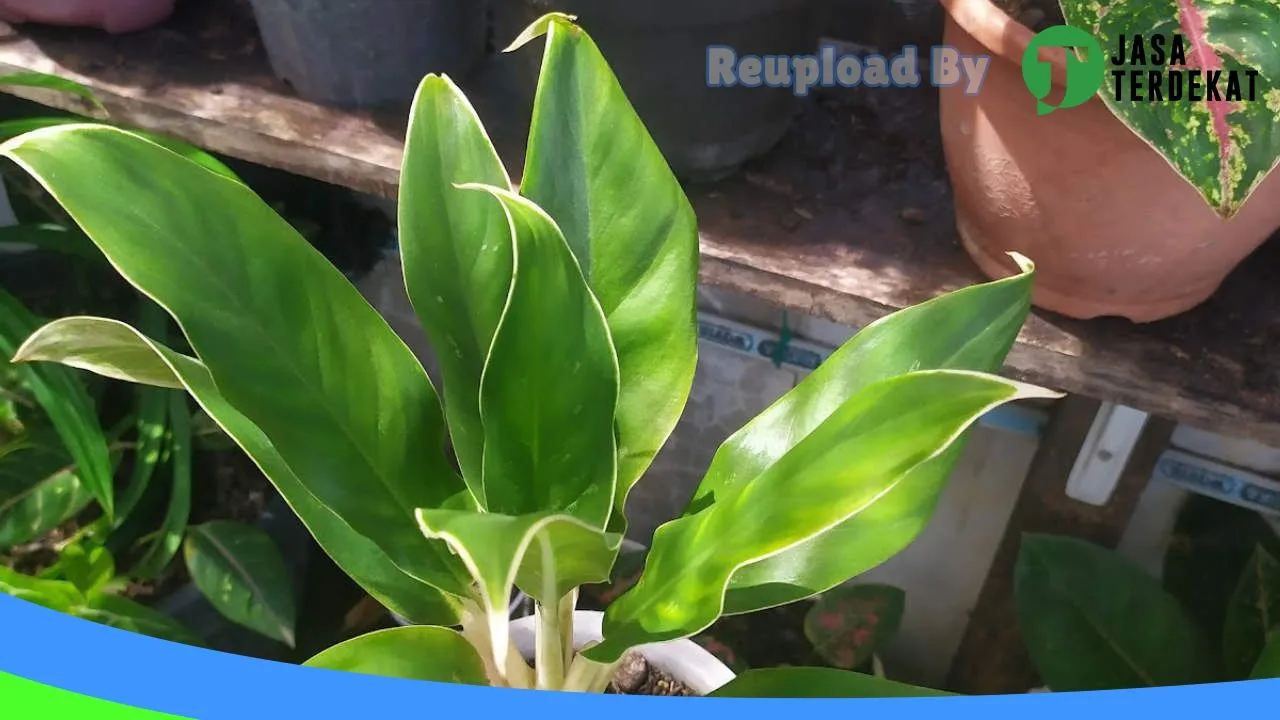 Gambar Unique Petshop & Stuff di Aceh Utara, Aceh ke 2