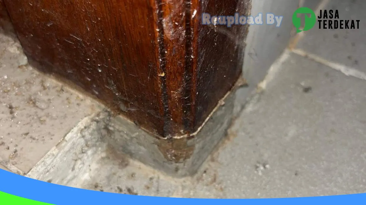 Gambar Anti Rayap | Pembasmi Rayap | Pengendalian Rayap | Pest Control | Fogging Nyamuk | Nusantara Pest Tangerang di Lebak, Banten ke 4