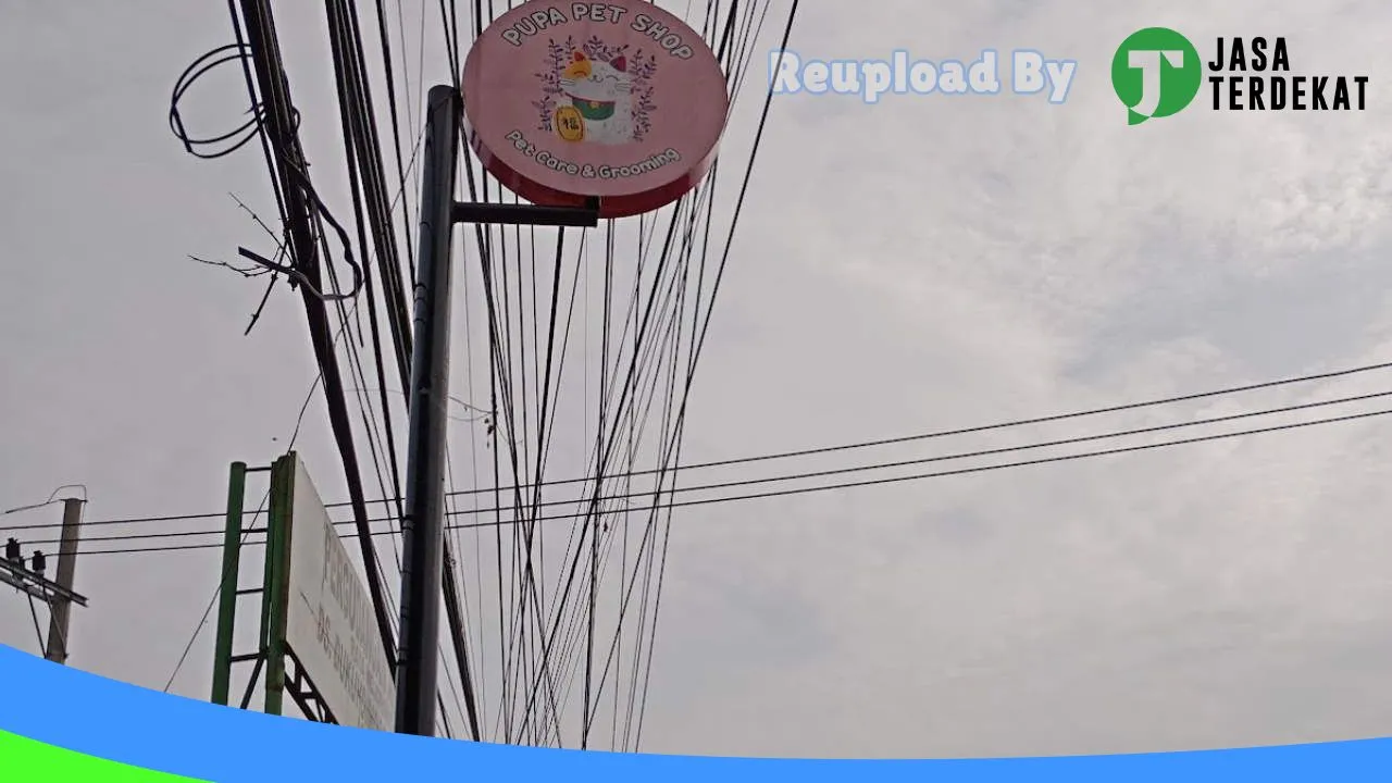 Gambar Pupa pet shop pet care & grooming di Jombang, Jawa Timur ke 3