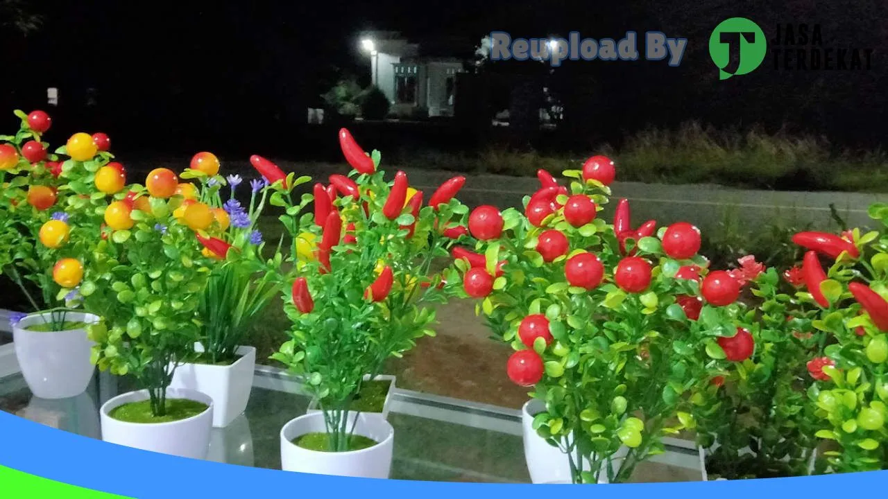 Gambar Emilkey Behel Bangko di Merangin, Jambi ke 3