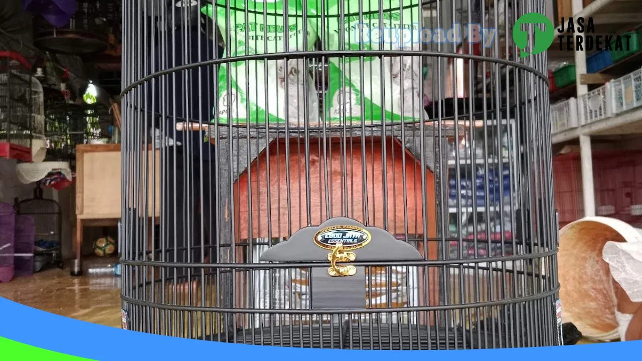 Gambar DMR Bird & Pet Shop di Aceh Barat, Aceh ke 3
