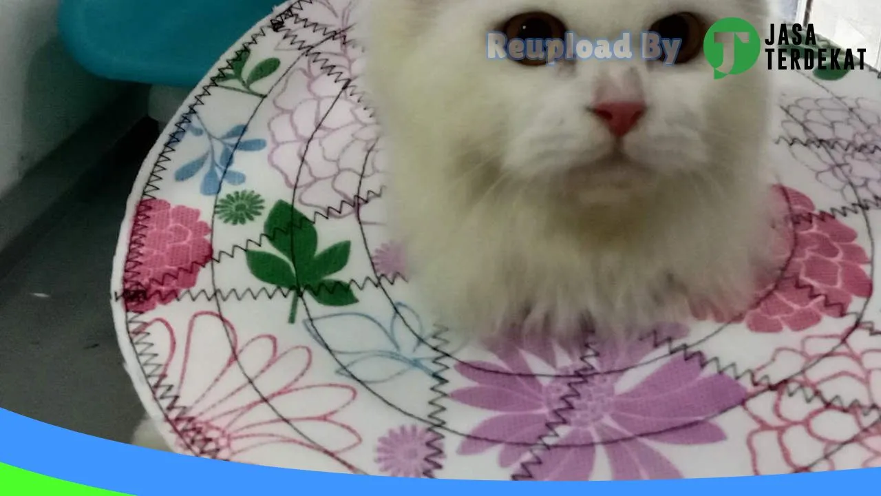 Gambar Petcare Jombang di Jombang, Jawa Timur ke 2