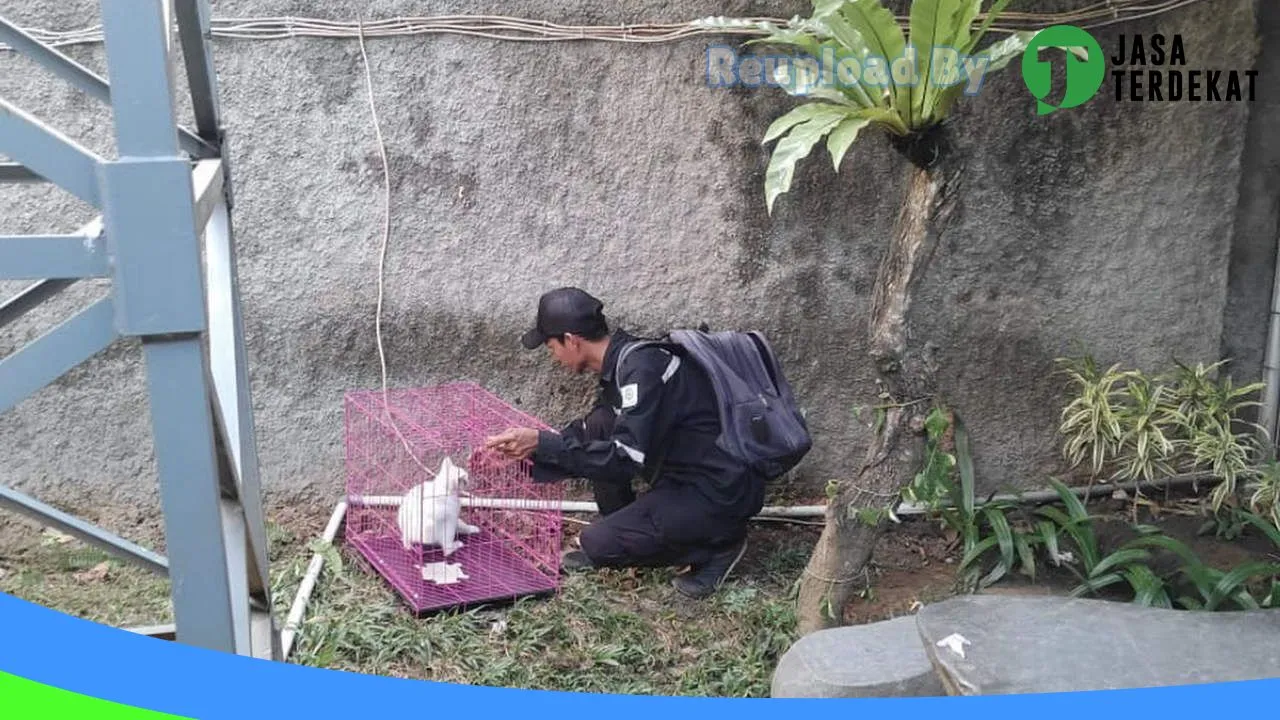 Gambar Pest control kediri( anti rayap. Kecoa.tikus.nyamuk) di Tulungagung, Jawa Timur ke 3