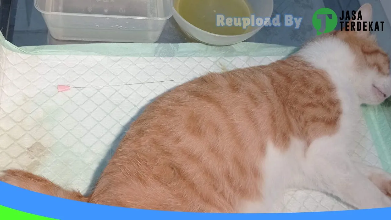 Gambar Praktik Dokter Hewan Labuan Bajo dan Petshop di Manggarai, Nusa Tenggara Timur ke 3