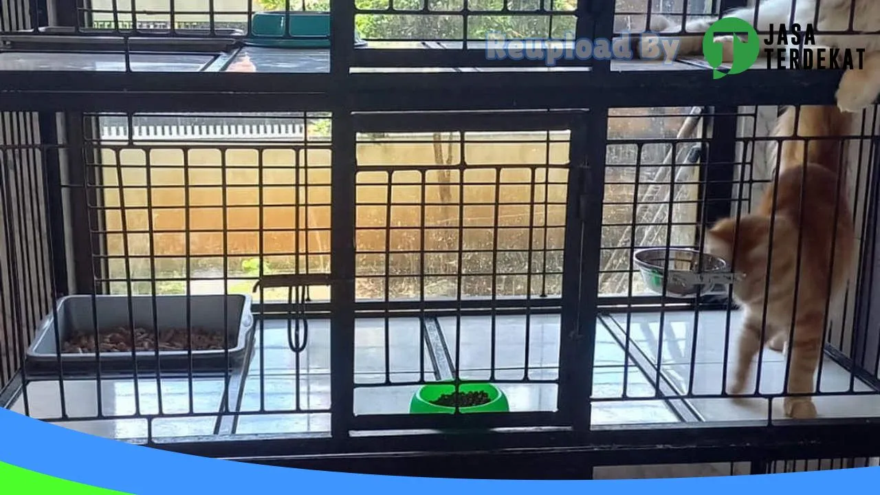 Gambar Gilang Petshop di Banjarnegara, Jawa Tengah ke 3