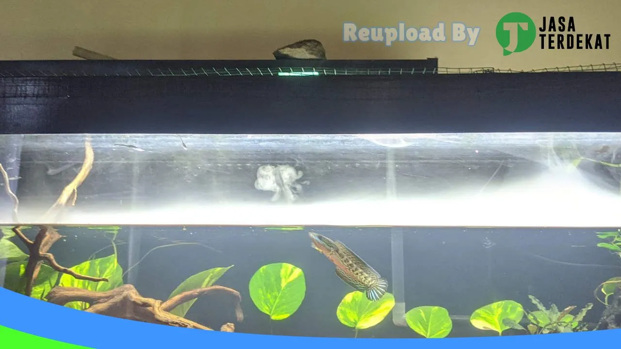 Gambar petshop punggur di Lampung Tengah, Lampung ke 1