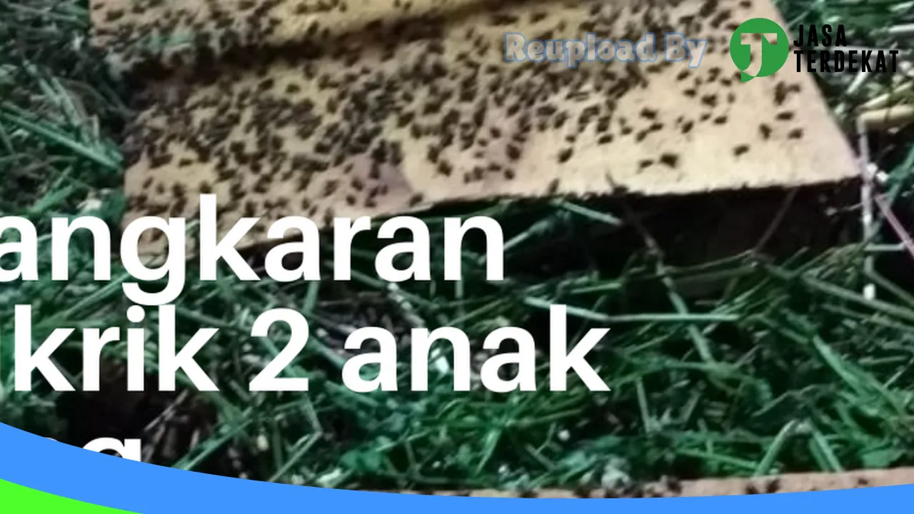 Gambar Kios burung ayah ismail di Muara Enim, Sumatera Selatan ke 2