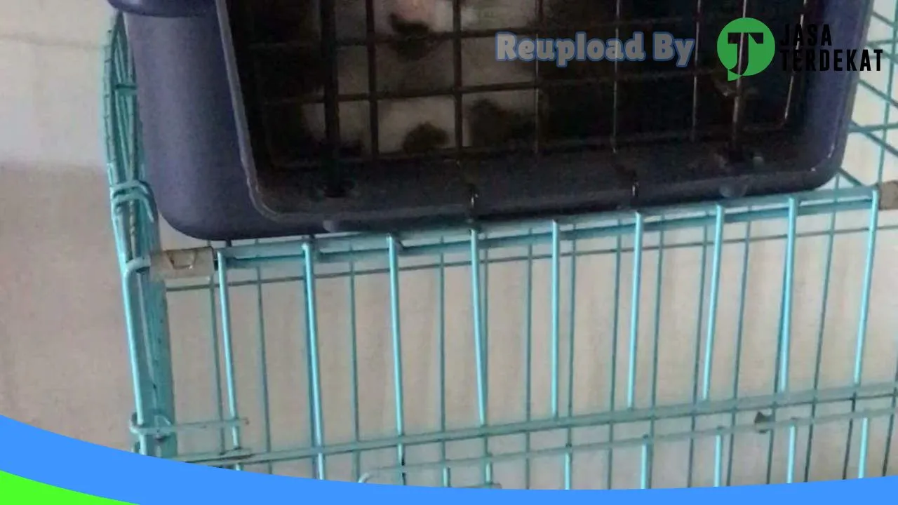 Gambar PUTRI PETSHOP di Aceh Besar, Aceh ke 1