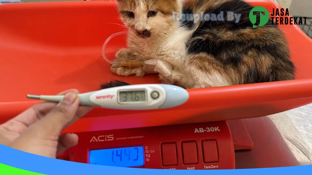 Gambar ANTARES SATWA CARE (Klinik Dokter Hewan, Grooming, Petshop, Pet Hotel Purwokerto) di Banyumas, Jawa Tengah ke 1