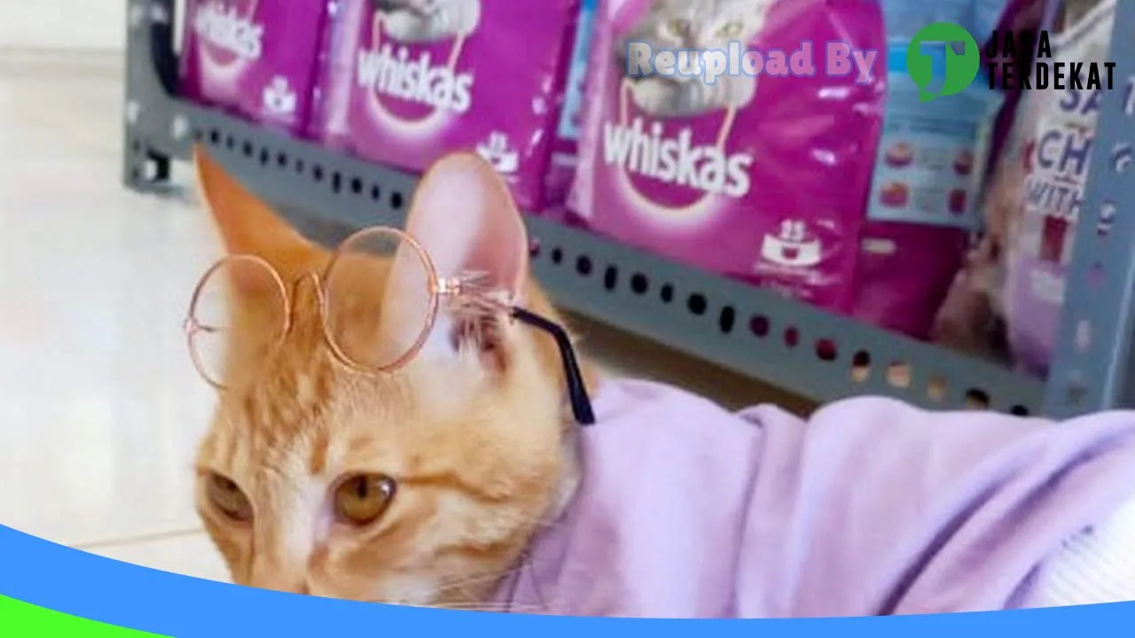 Gambar Kolaka Pet Shop Bombana di Buton, Sulawesi Tenggara ke 2