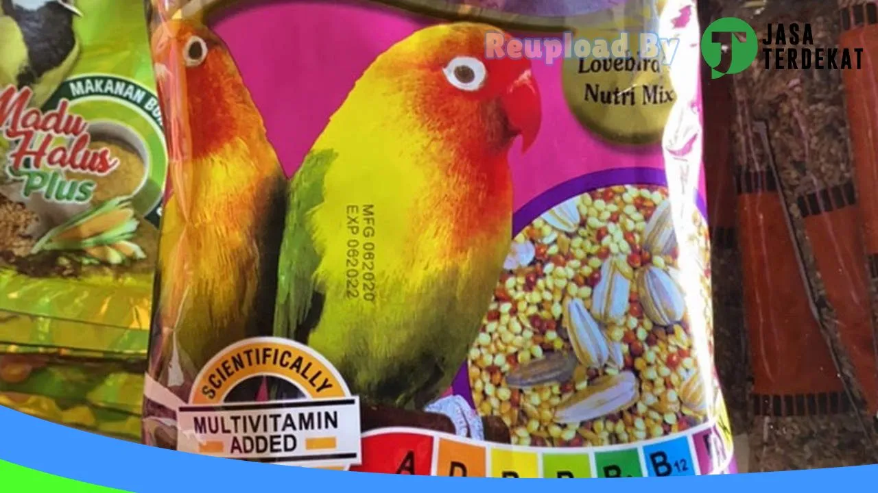 Gambar TOKO “Hanan Petshop” di Balangan, Kalimantan Selatan ke 4