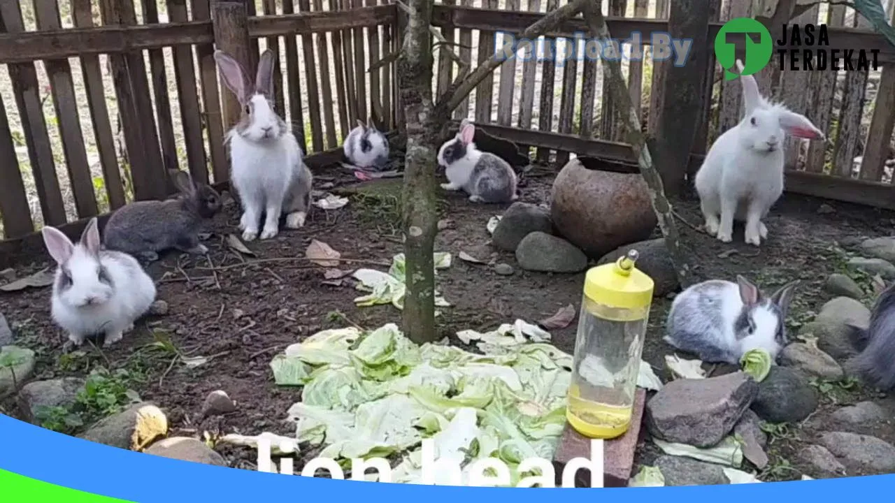 Gambar Rumah kelinci di Bantaeng, Sulawesi Selatan ke 1