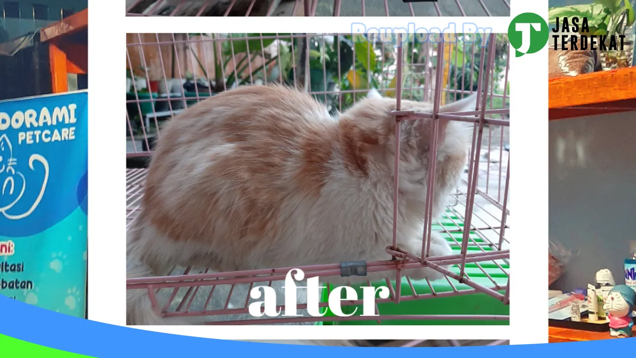 Gambar Dorami petcare & petshop (dokter hewan ami) di Tebing Tinggi, Sumatera Utara ke 4