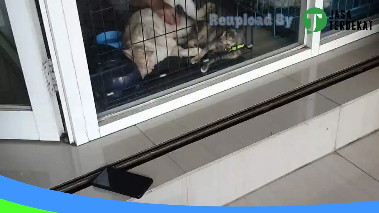 Gambar Petopia Pet Care Yogyakarta 24 Jam di Bantul, DI Yogyakarta ke 1