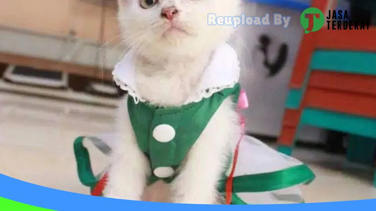 Gambar Mueza Petshop di Aceh Utara, Aceh ke 4