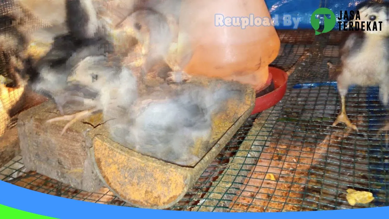 Gambar Pamintasan Farm di Padang Lawas Utara, Sumatera Utara ke 3