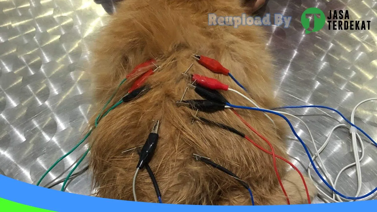 Gambar Paws & Purrs Pet Care Samarinda di Samarinda, Kalimantan Timur ke 1